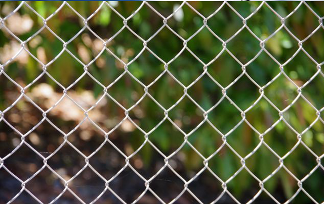 Chain Link